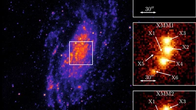 The restless population of bright X-ray sources of NGC 3621 featured image